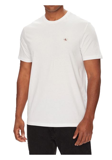 T-SHIRT UOMO CALVIN KLEIN | T-SHIRT | LV04RC272GYAF