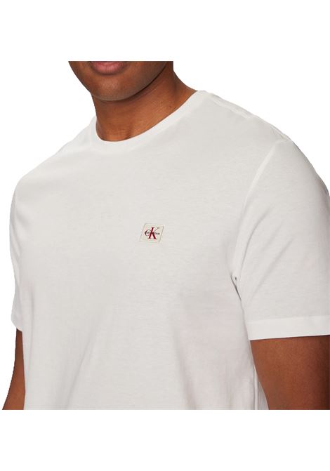 T-SHIRT UOMO CALVIN KLEIN | T-SHIRT | LV04RC272GYAF