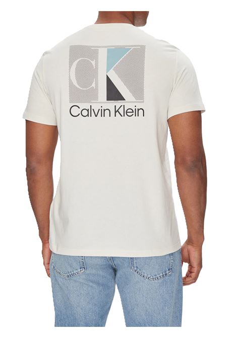 T-SHIRT UOMO CALVIN KLEIN | T-SHIRT | LV04RC853G67U