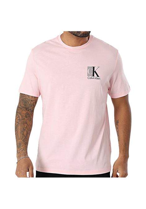 T-SHIRT UOMO CALVIN KLEIN | T-SHIRT | LV04RC853GTFS