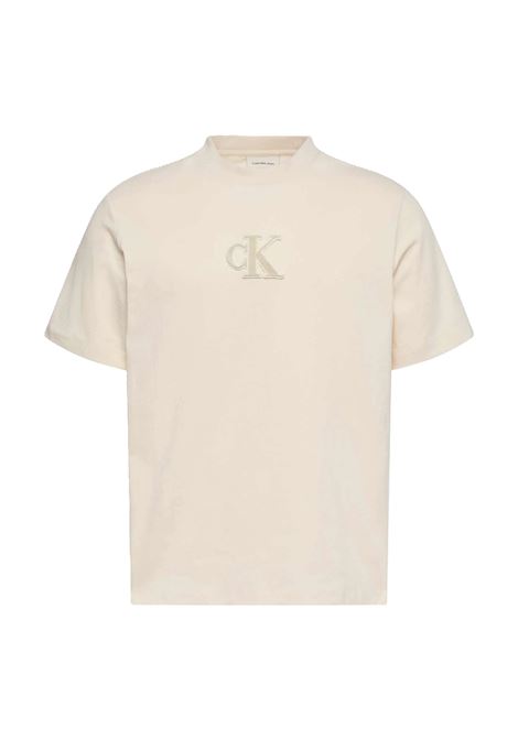 T-SHIRT UOMO CALVIN KLEIN | T-SHIRT | LV04RD253G67U