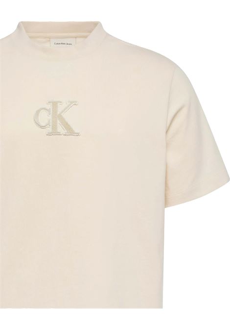 T-SHIRT UOMO CALVIN KLEIN | T-SHIRT | LV04RD253G67U