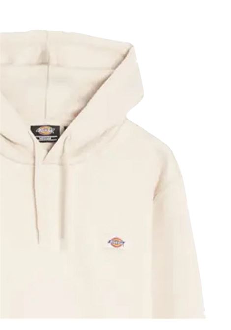 FELPA  UOMO DICKIES | FELPA | DK0A4XCDF901