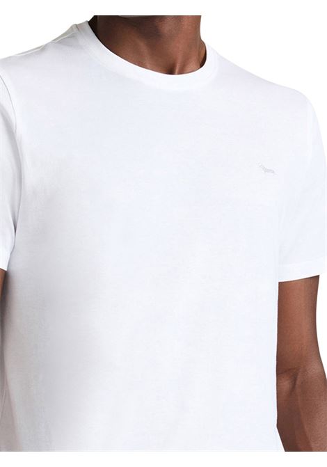 T-SHIRT UOMO HARMONT & BLAINE | T-SHIRT | IN1001N21055100