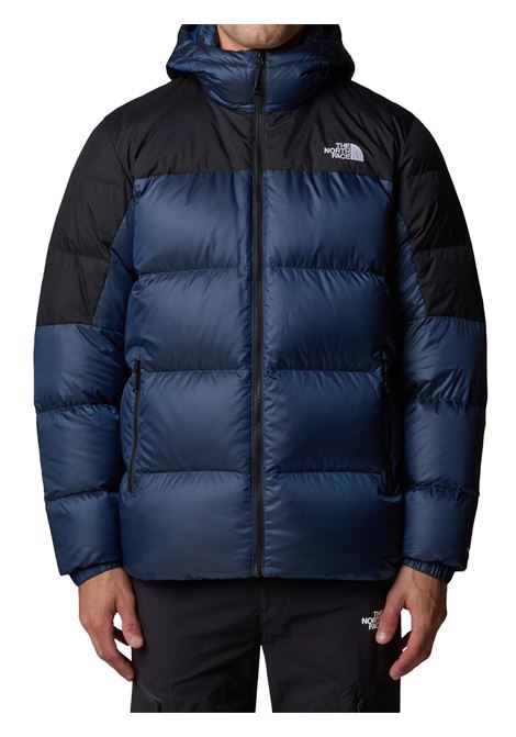 GIUBBOTTO UOMO THE NORTH FACE | GIUBBINO | NF0A8992A1C1