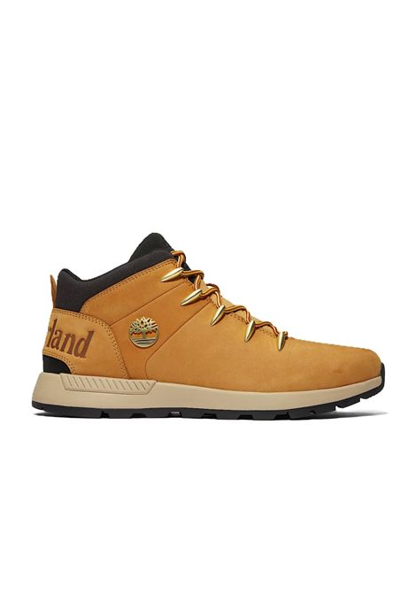 SCARPE UOMO TIMBERLAND | SCARPE | TB0A1XVQ2311