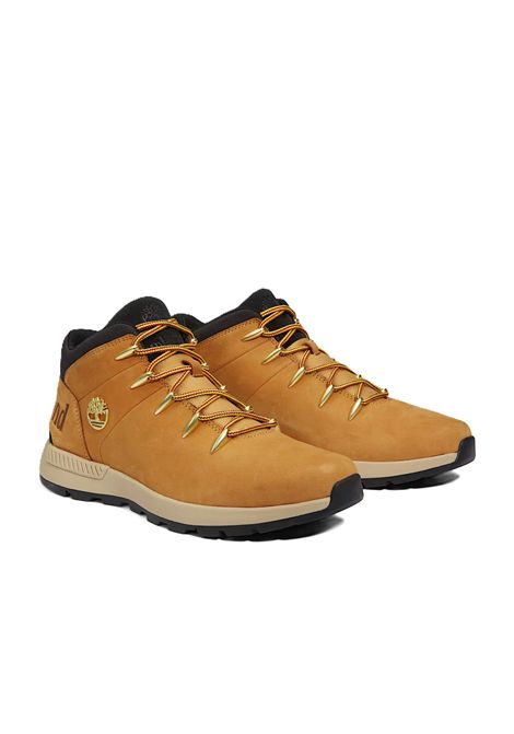 SCARPE UOMO TIMBERLAND | SCARPE | TB0A1XVQ2311