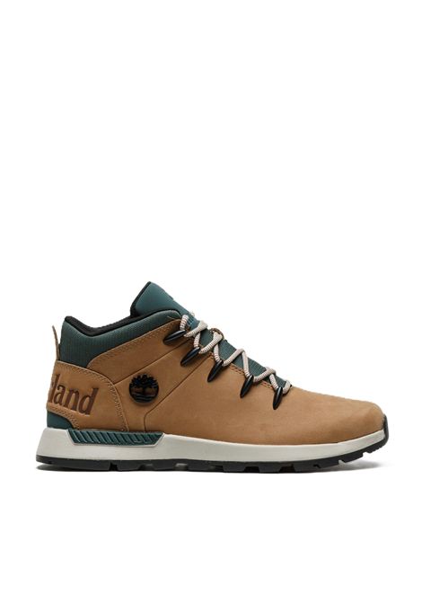 SCARPE UOMO TIMBERLAND | SCARPE | TB0A6DQDEUW1