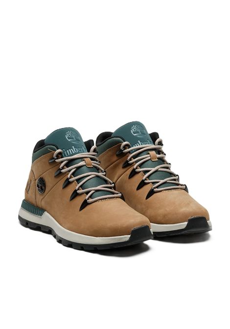 SCARPE UOMO TIMBERLAND | SCARPE | TB0A6DQDEUW1