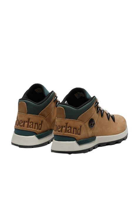 SCARPE UOMO TIMBERLAND | SCARPE | TB0A6DQDEUW1