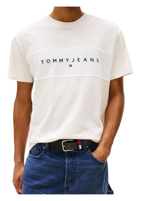T-SHIRT UOMO TOMMY HILFIGER | T-SHIRT | DM0DM21933AFK
