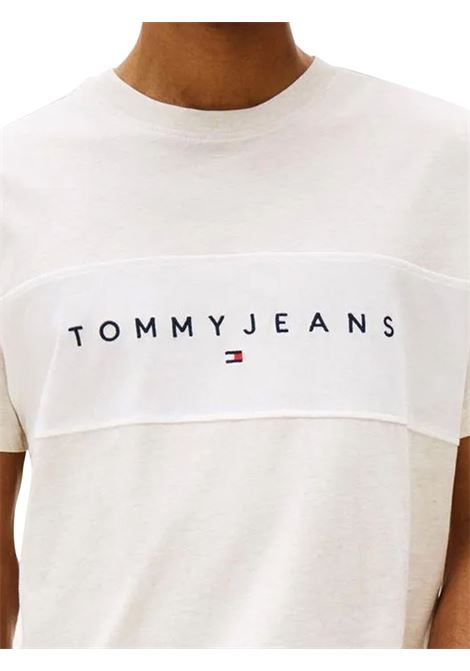 T-SHIRT UOMO TOMMY HILFIGER | T-SHIRT | DM0DM21933AFK
