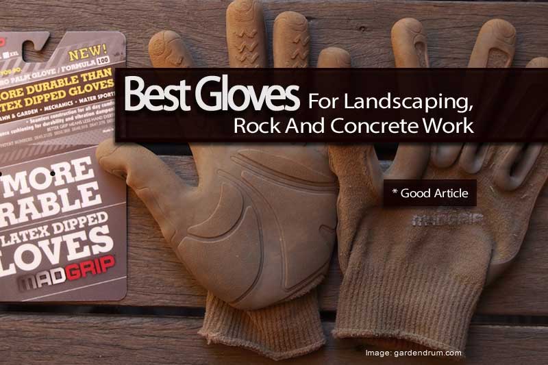 best-gloves-111713