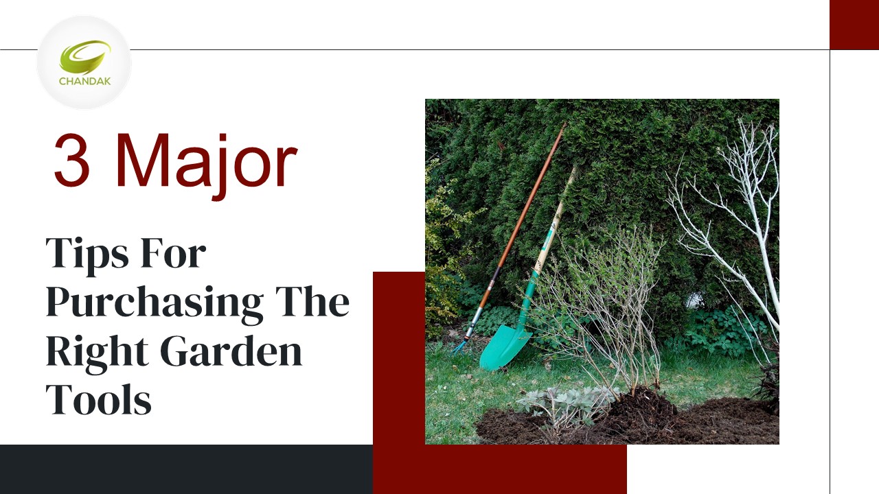 3 Major Tips for Purchasing the Right Garden Tools
