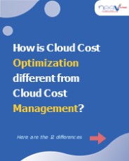 Neev Systems Cloud Cost Optimization
