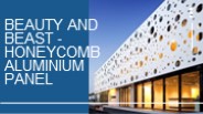Beauty and Beast - Honeycomb Aluminium Panel
