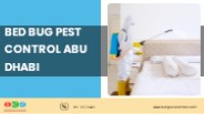 Bed Bug Pest Control Abu Dhabi