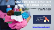 Unveiling Excellence: Tidy Touch Cleaning Services