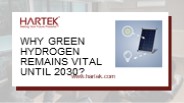 Why Green Hydrogen Remains Vital until 2030?