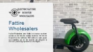 Fat Tire Wholesalers ECO-Friendly Transportation
