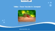 Yellow Fever Vaccine in Liverpool