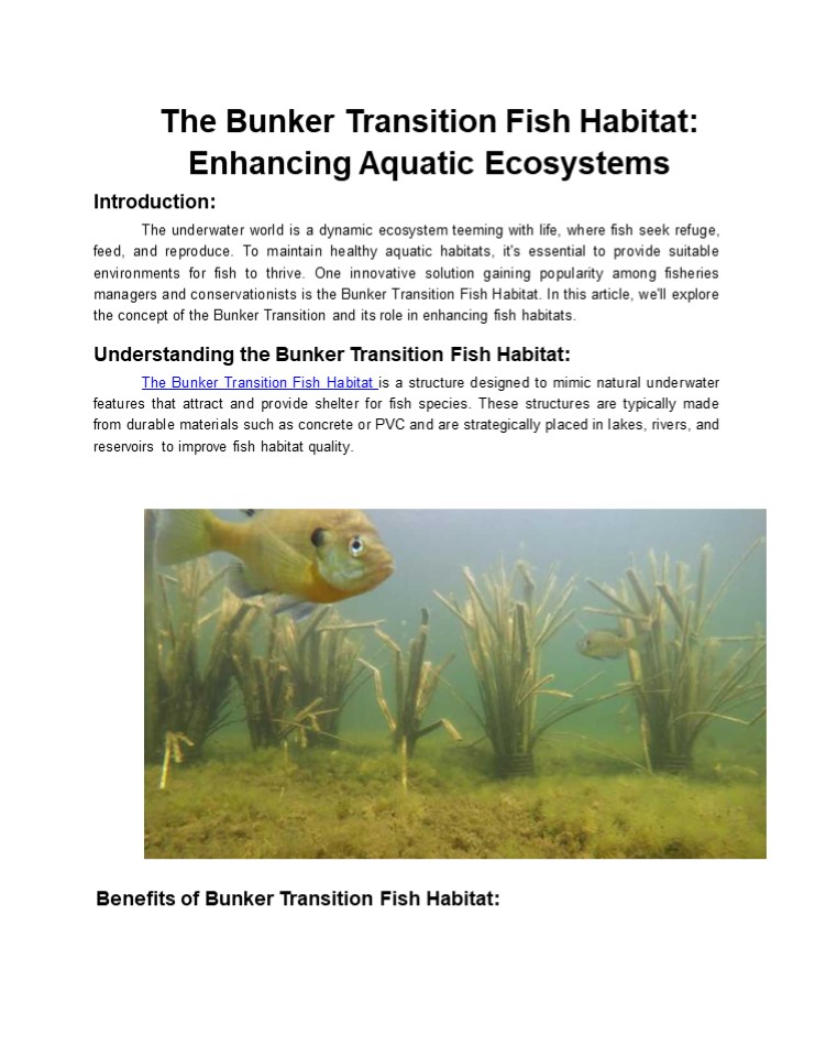 The Bunker Transition Fish Habitat: Enhancing Aquatic Ecosystems (1)