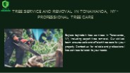 Tree Service and Removal in Tonawanda, NY