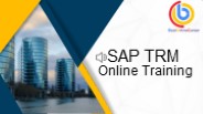 SAP TRM (Treasury and Risk Management) Online Training