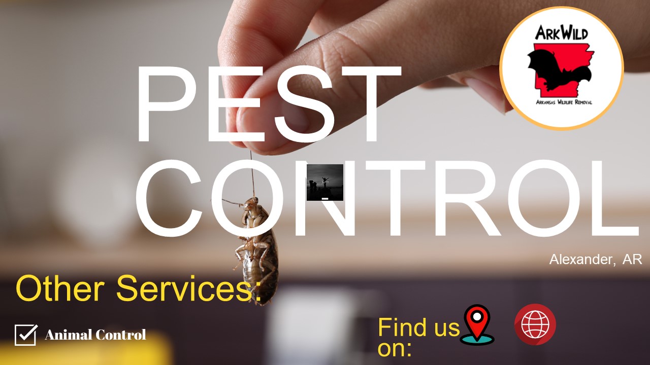 Pest Control Alexander, AR