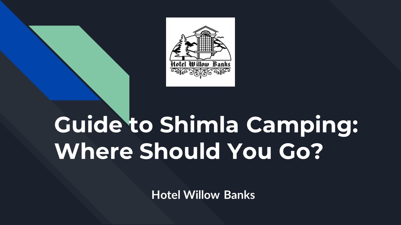 Guide to Shimla Camping: Where Should You Go?