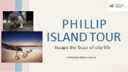An Awesome Phillip Island Tours - CultureQuesttours