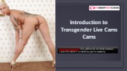 Introduction to Transgender Live Cams