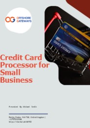 Credit Card Processor for Small Business