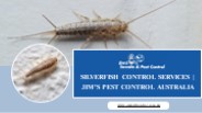Silverfish Control Services Jim's Pest Control Australia