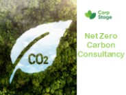 Achieving Net Zero: Tailored Carbon Solutions