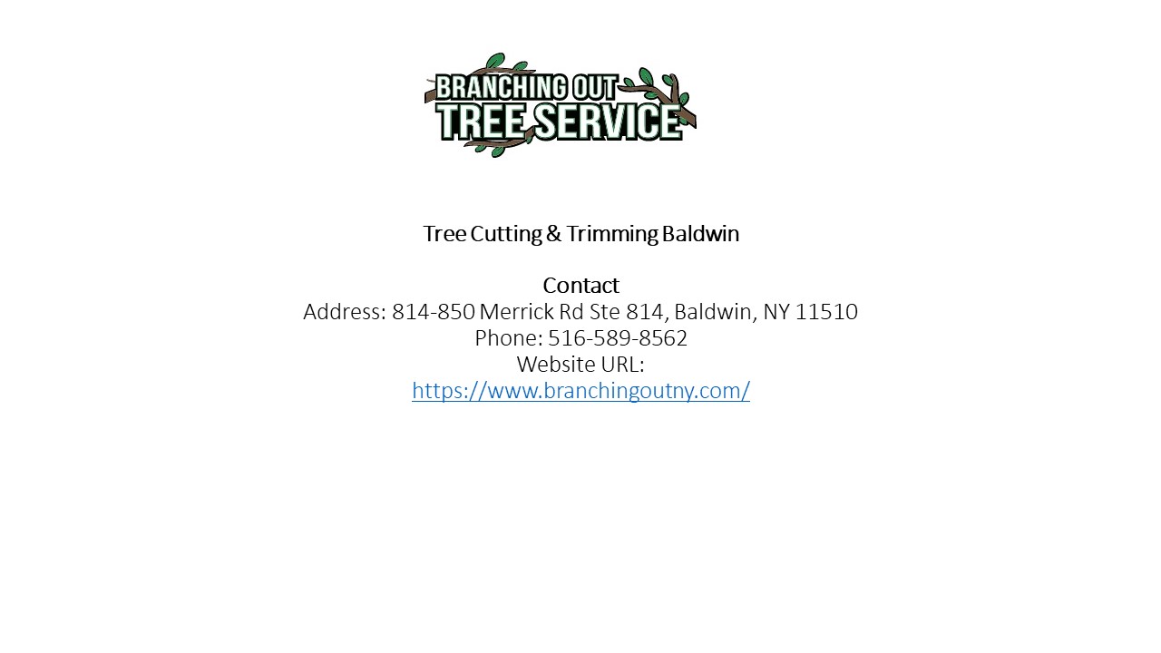 Tree Cutting & Trimming Baldwin (2)