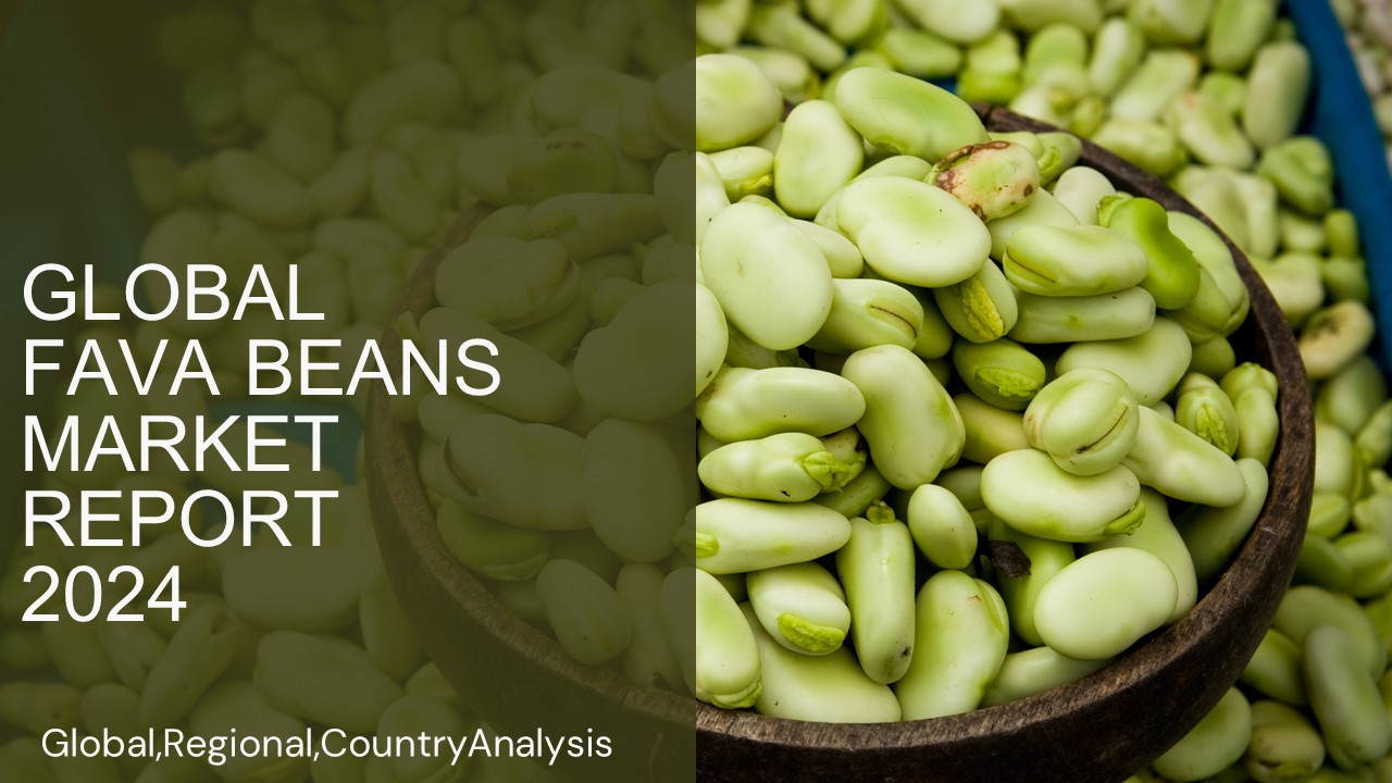 Fava Beans Market Report 2024