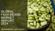 Fava Beans Market Report 2024