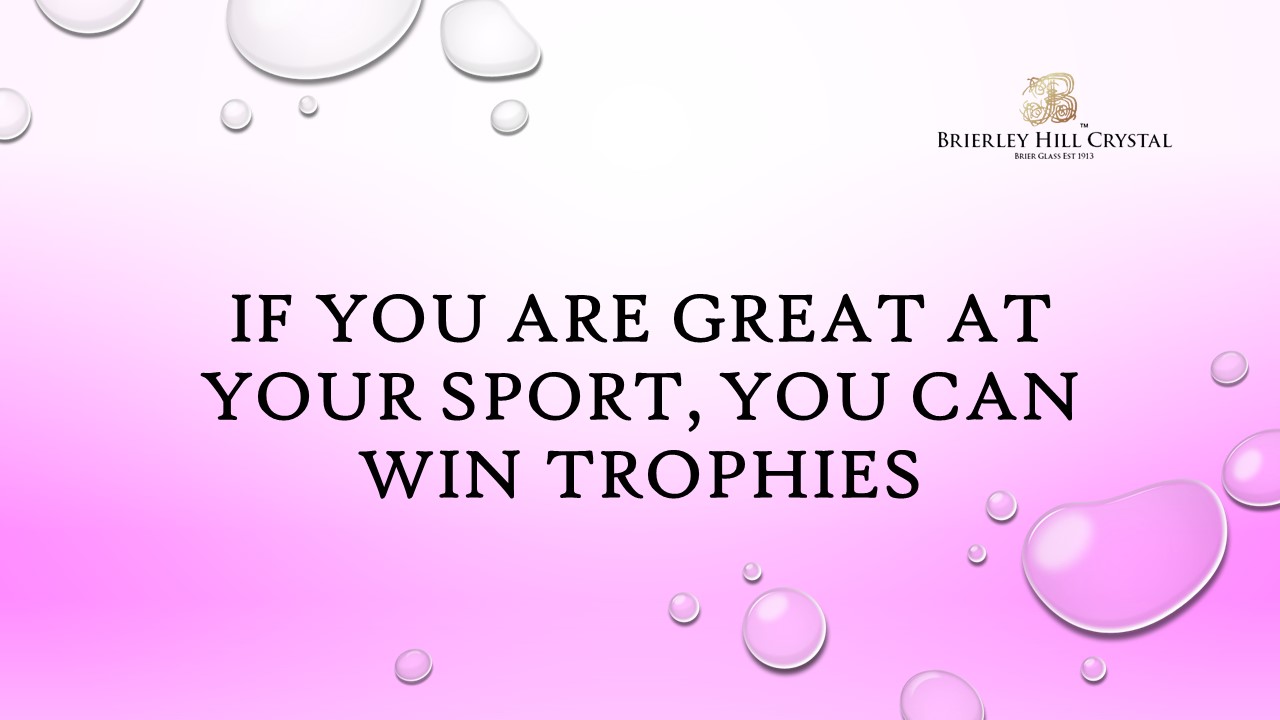 If You Are Great At Your Sport, You Can Win Trophies