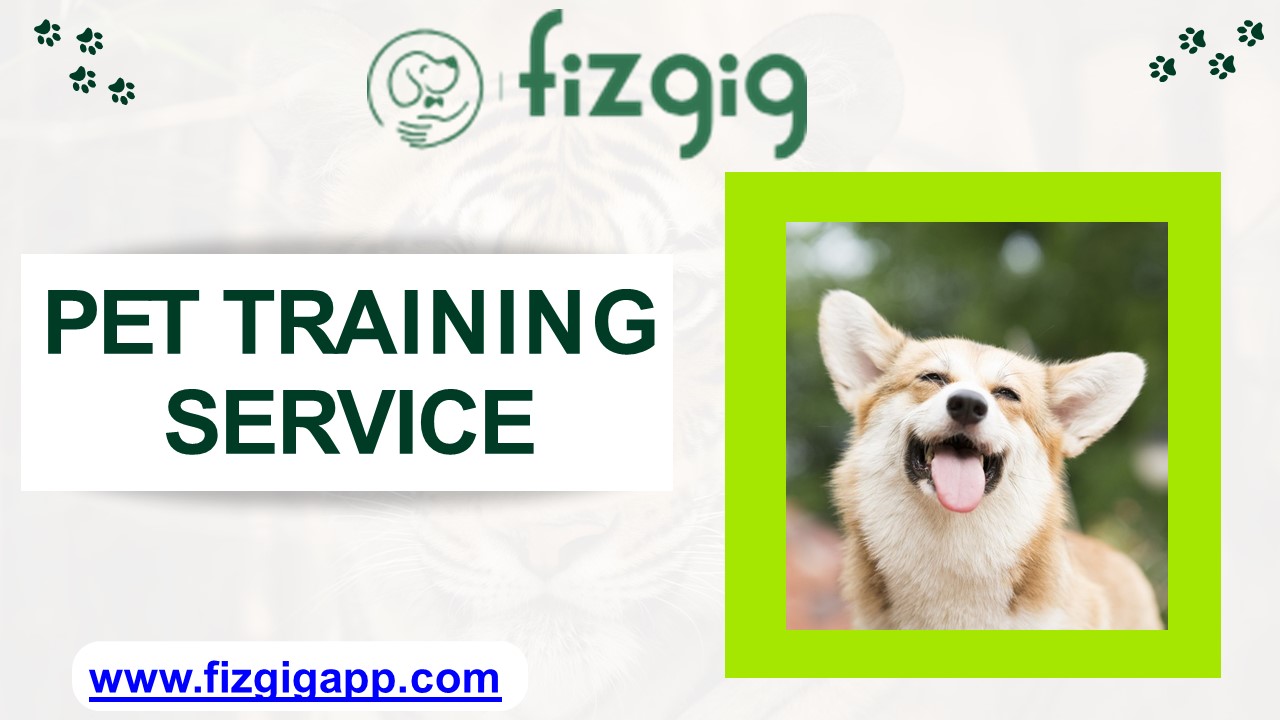 Find The Best Pet Care Service - Download The Fizgig App Now