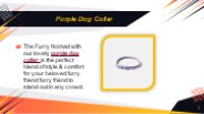 Purple Dog Collar