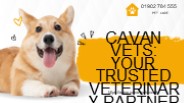 Cavan Vets: Your Trusted Veterinary Partner