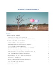 Contested Divorce in Ontario