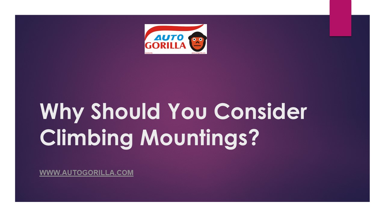 Why Should You Consider Climbing Mountings?