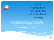 Crab farming