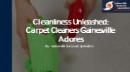 Cleanliness Unleashed: Carpet Cleaners Gainesville Adores​