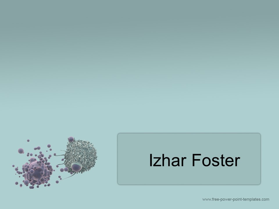 Sandwich Panels: Revolutionizing Construction and Insulation