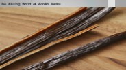 the alluring world of vanilla beans