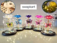 Solar Light Outdoor Garden Decoration