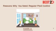 10 Reasons Why You Need Regular Pest Control